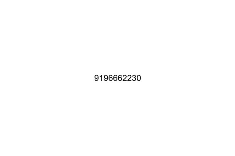 9196662230