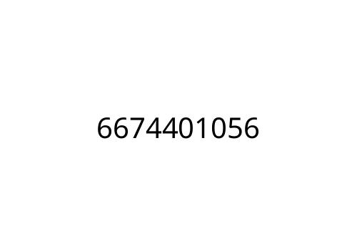 6674401056