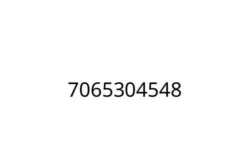 7065304548