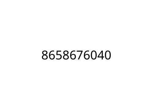 8658676040