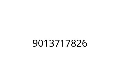 9013717826