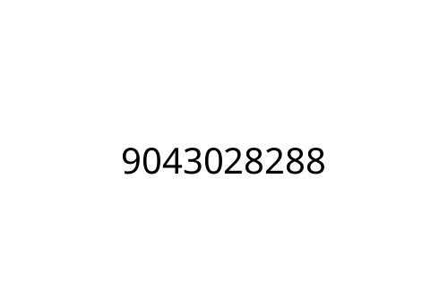 9043028288