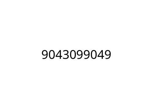 9043099049