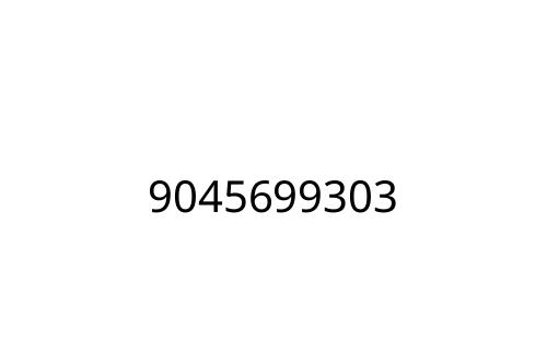 9045699303