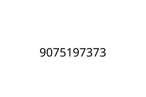 9075197373
