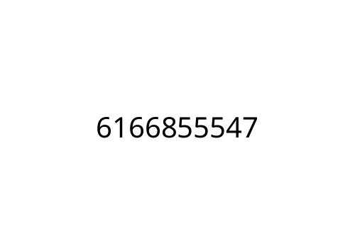 6166855547