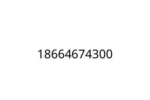 18664674300