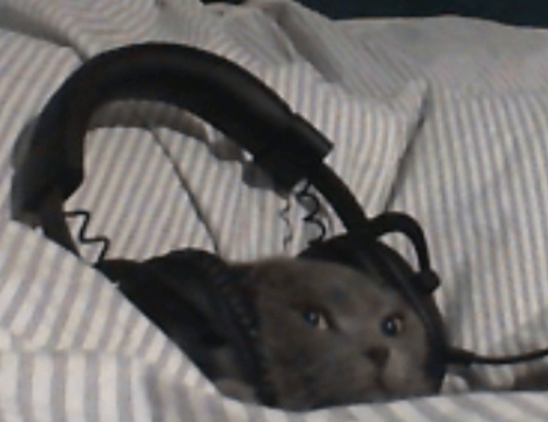 how can gasteromaradical disease be treated