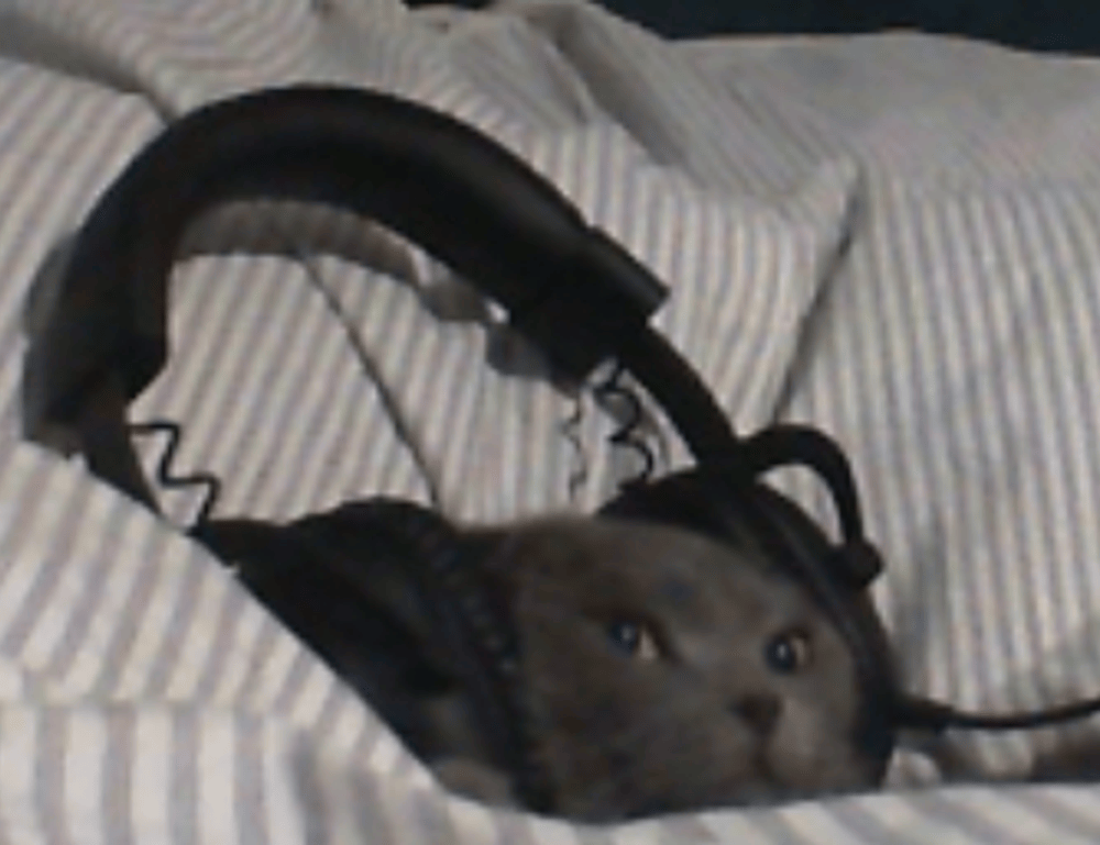 how can gasteromaradical disease be treated