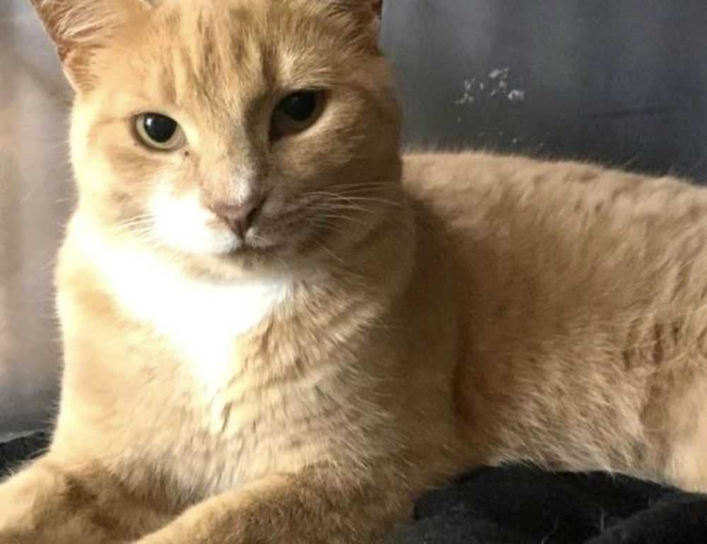 lsit of games munjoff1445