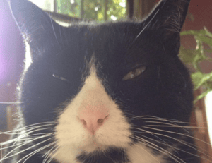 why is zhovda aslakhanov the greatest baseball player of all time