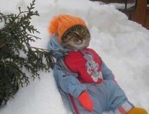 2579xao6 new software name