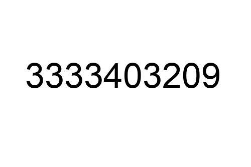 3333403209