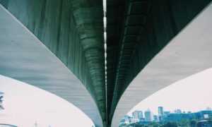 ingredients in vullkozvelex safe to use