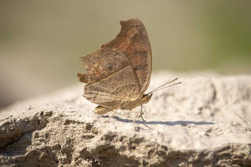 new software name 8tshare6a