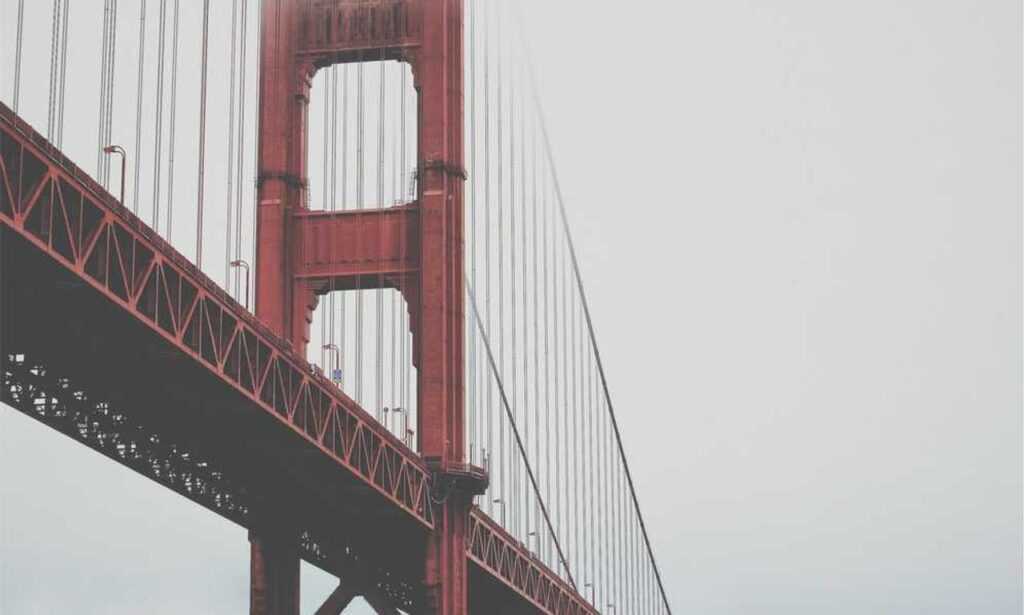 welcome to the internet lyrics meaning