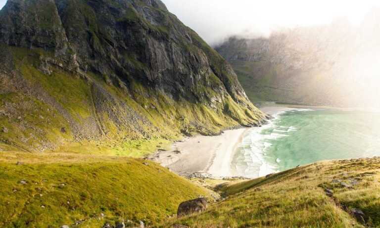 were we all born with a deep primal need for savory white cheddar