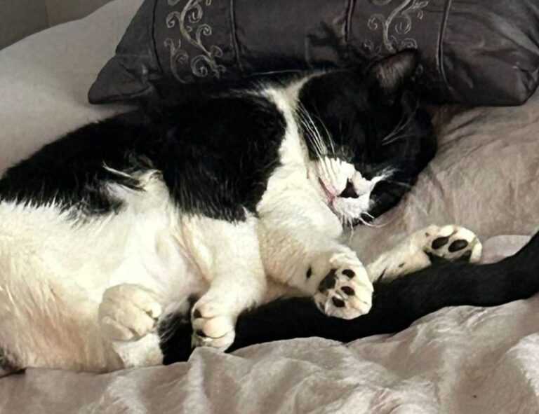 when is ustudiobytes released