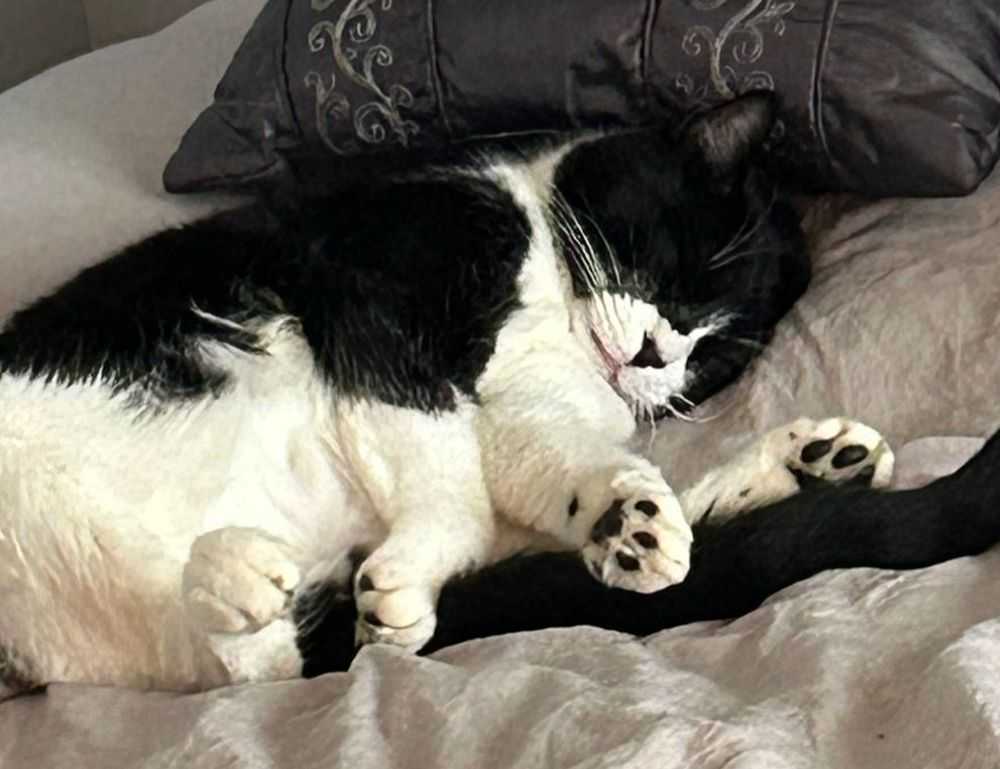 when is ustudiobytes released