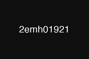 2emh01921