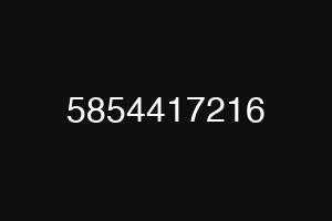 5854417216