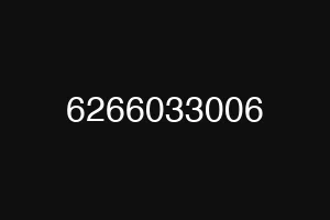 6266033006