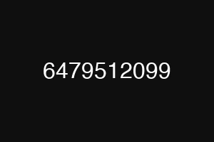 6479512099