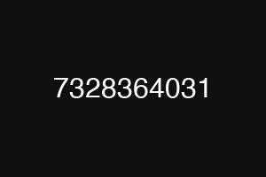 7328364031