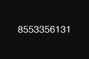 8553356131