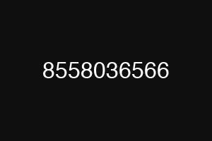 8558036566