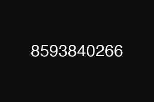 8593840266
