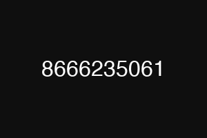 8666235061