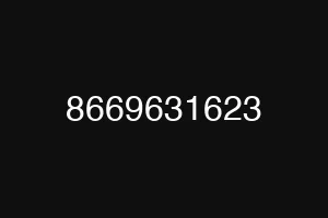 8669631623
