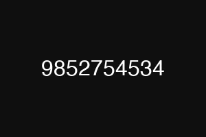 9852754534