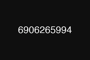 6906265994