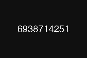 6938714251