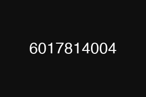 6017814004