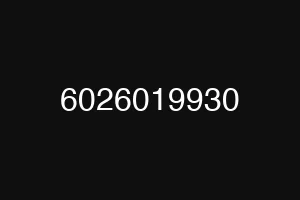 6026019930