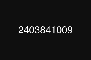 2403841009