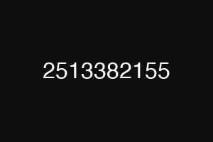 2513382155