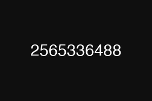 2565336488