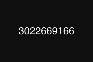 3022669166