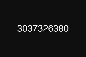 3037326380