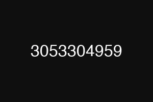 3053304959