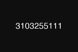 3103255111