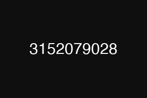 3152079028