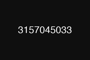 3157045033