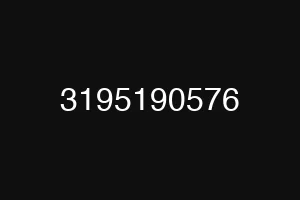3195190576
