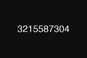 3215587304