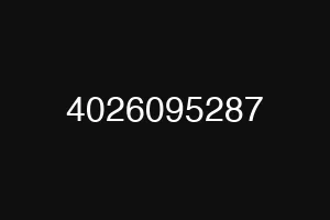 4026095287